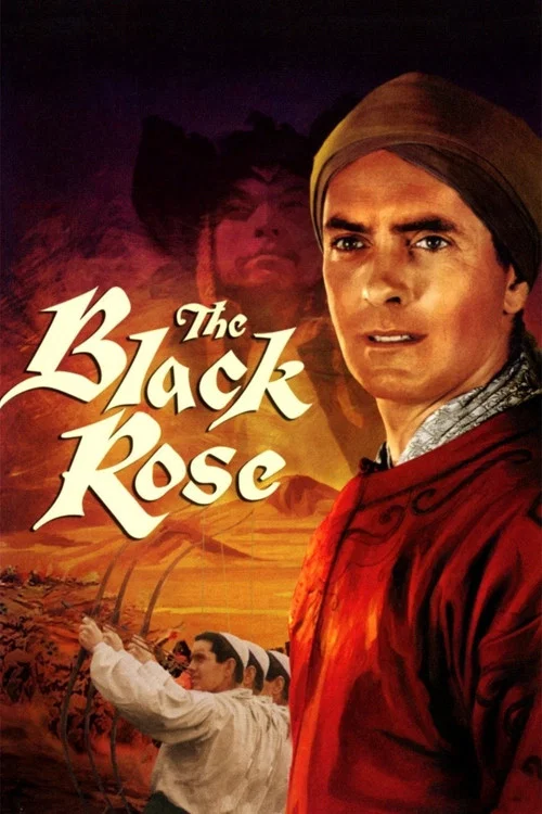 Poster: Die schwarze Rose