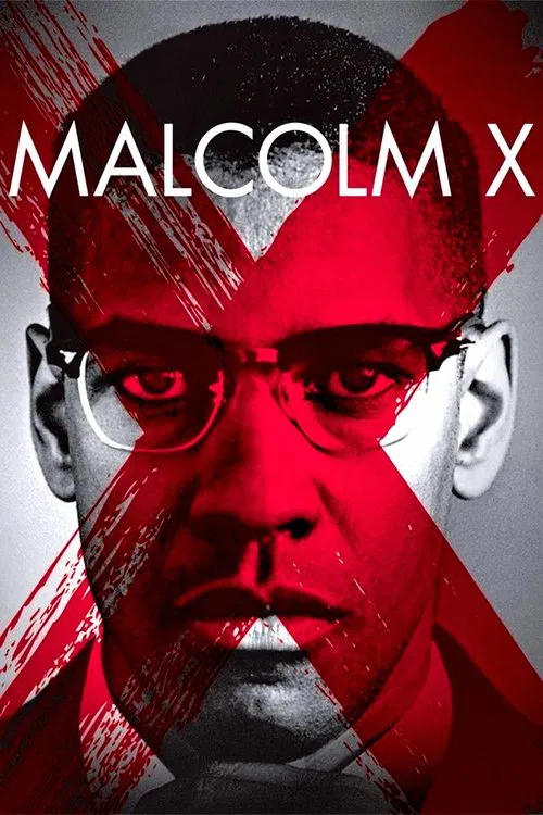 Póster: Malcolm X