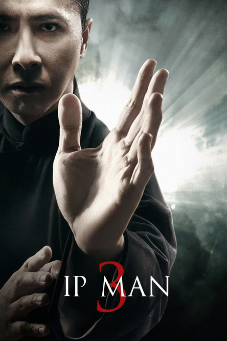 Affiche : Ip Man 3