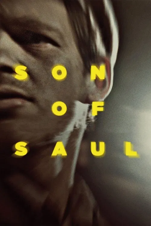 Affiche : Son of Saul
